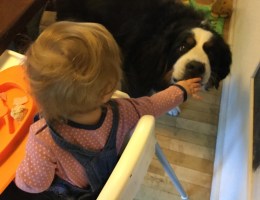 Bild: Hildegard Thüring