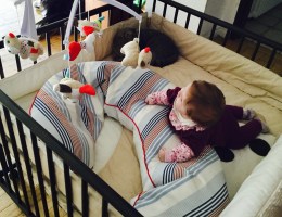 Bild: Hildegard Thüring